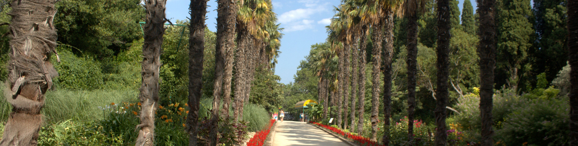 Никитский сад Ялта Крым